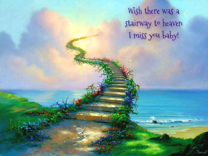 1000202_10201893919085982_2002932309_n