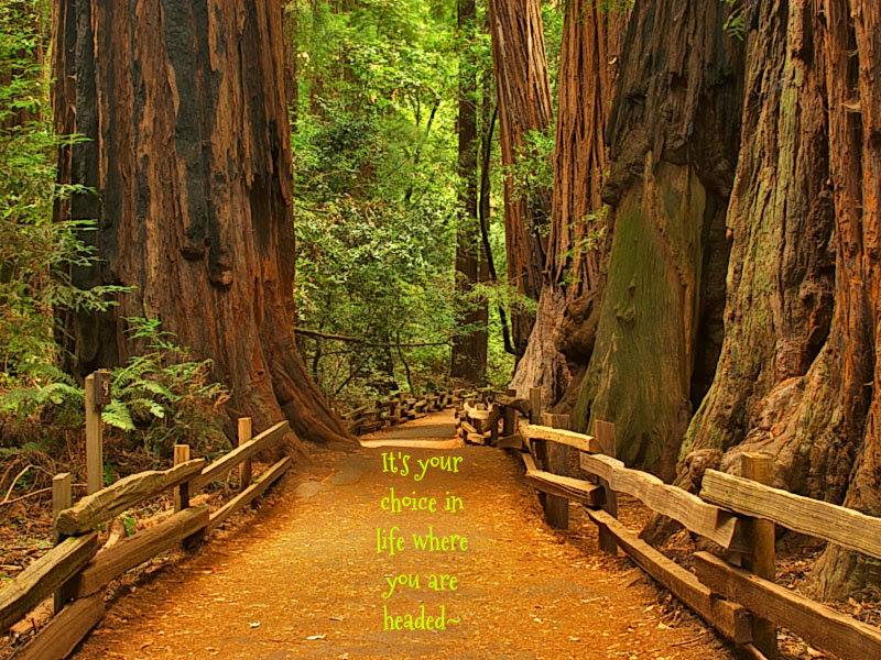 10004004_10202777966946626_118557533_n