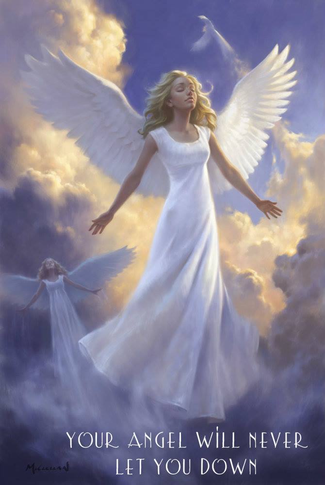 1014666_10202445727400845_2015182590_o