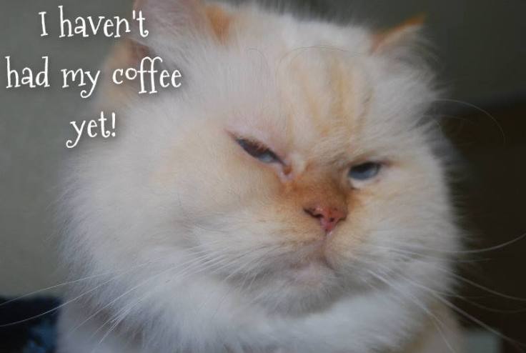 10153680_10203979689268933_6037888784571673224_n