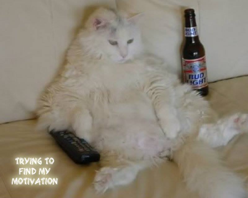 10305604_10203411914474918_6100727503835840285_n