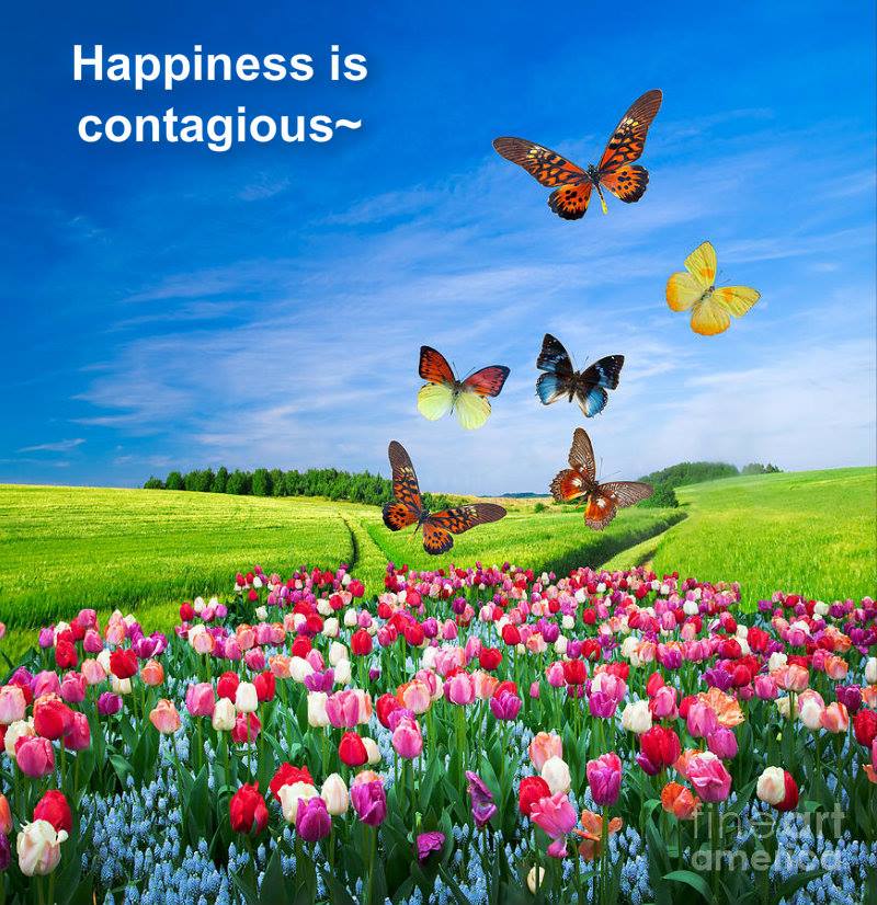 10345725_10203202830407947_4288282514744950447_n