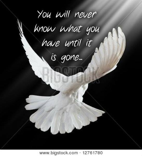 10421124_10203982838627665_1844324333701412825_n