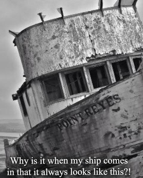 10440956_10204275411661808_1026442782904708966_n