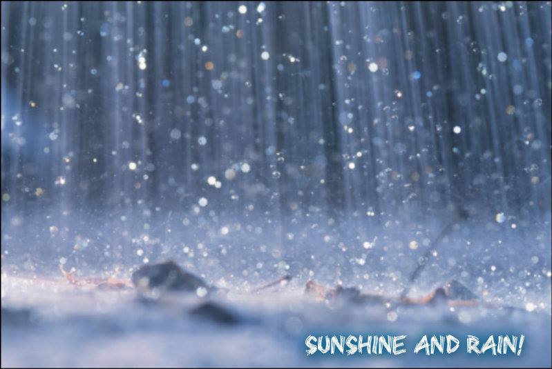 10458306_10203729012722176_3387400380225483140_n