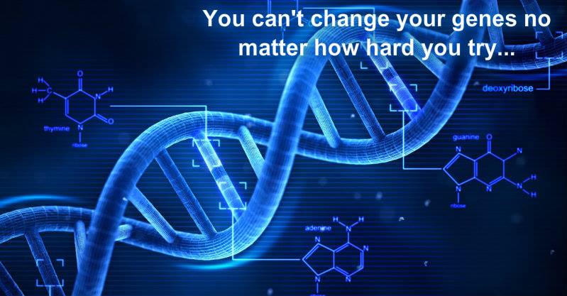 10538598_10204068120559660_3113015874709732199_n