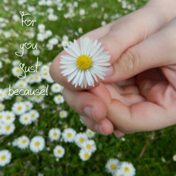 10570324_10203914867008417_967530712833690730_n