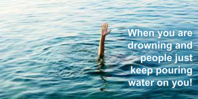 10570329_10204353166965642_1990242591689669520_n