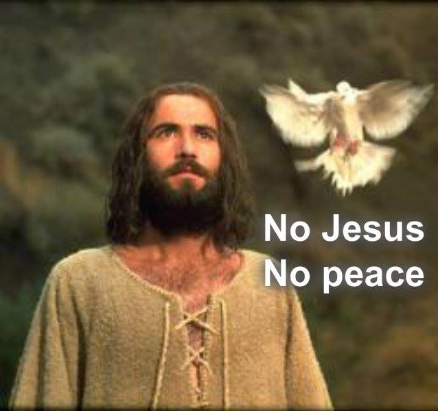 10570450_10203729529975107_5548668858638930118_n