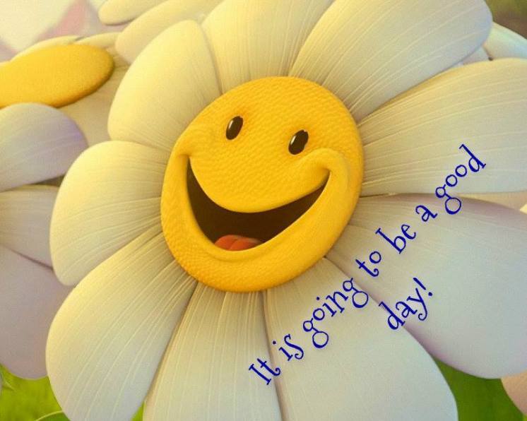 10590656_10203902154690617_1743144923840290396_n