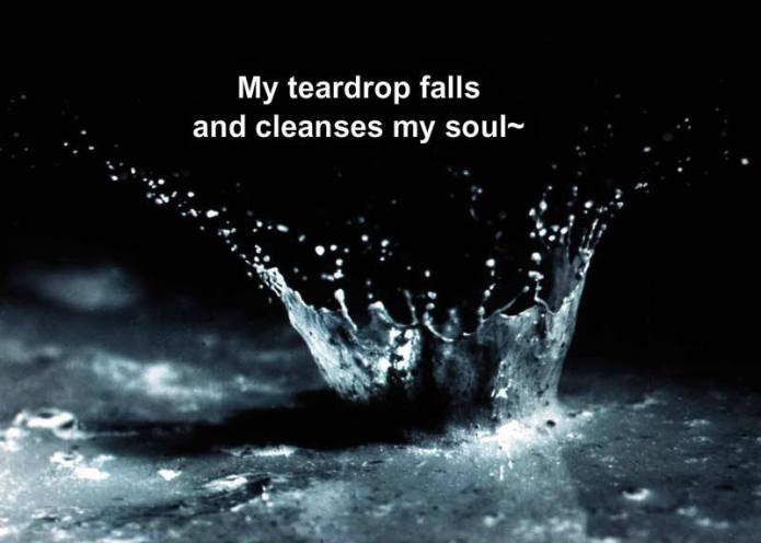 10628447_10204315323179571_5835230698435282526_n