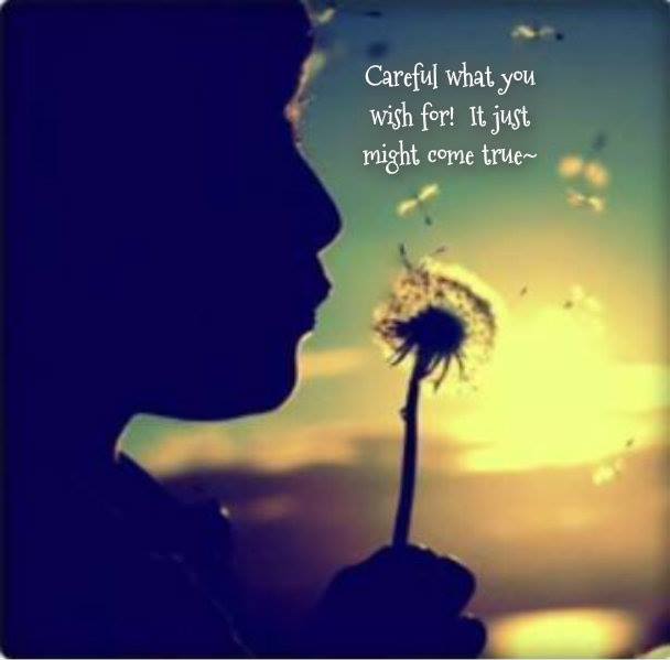 10641225_10204018959050653_7163793226031360576_n