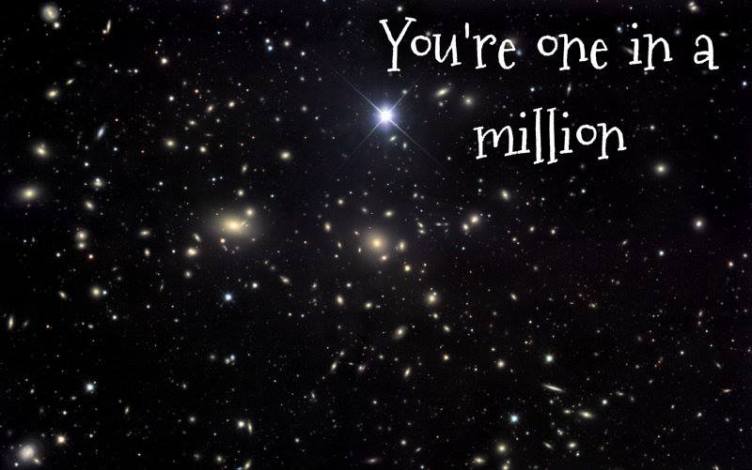 10649573_10203979720549715_2014005050721403158_n