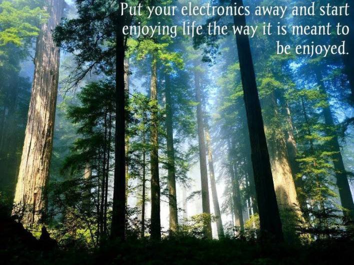 10665307_10204086691823930_337516746629302039_n