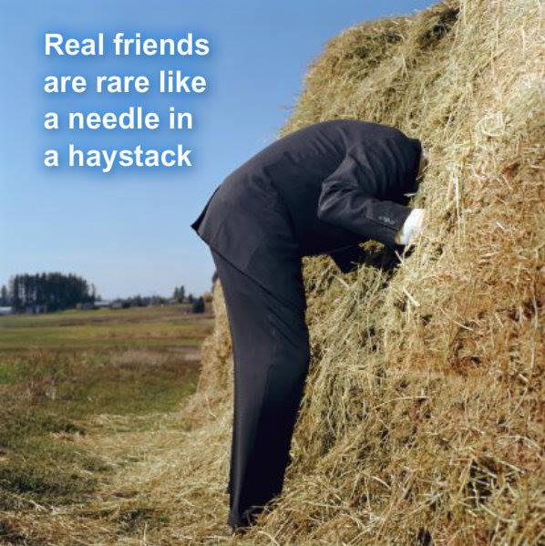 10666008_10204065595856544_3436806465545834769_n