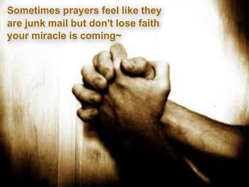 10710719_10204353150885240_8696084281368288694_n