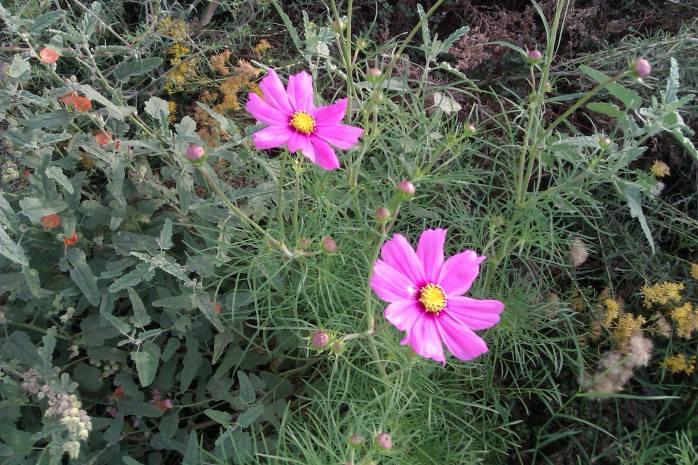 10733366_10204414599141408_133185938_o