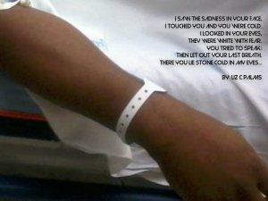 1123865559pizapw1413233547