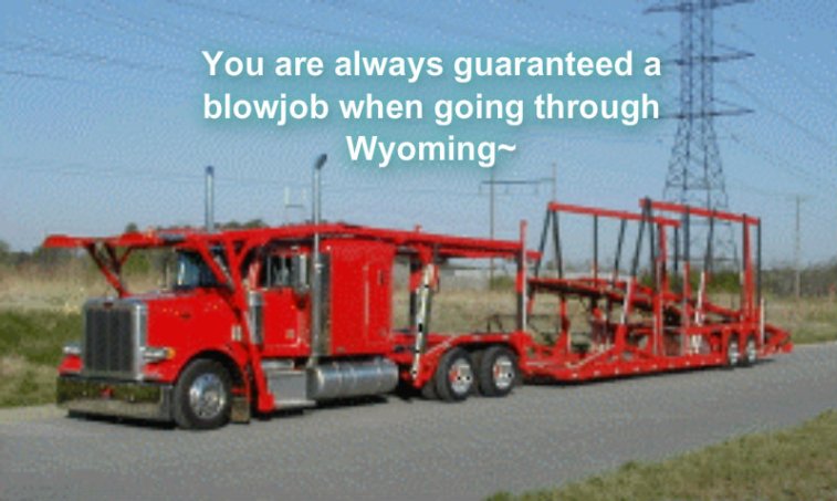 1123865559pizapw1413525072