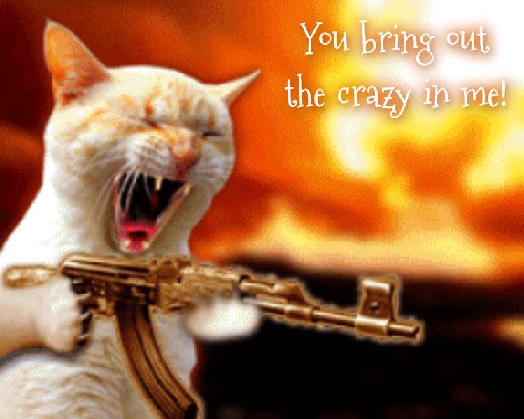 1379324_10201855280720047_880347595_n