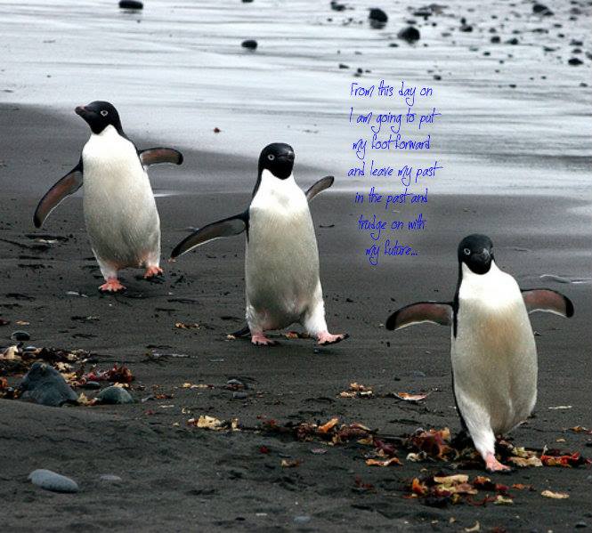 1383214_10201854722106082_2025366490_n