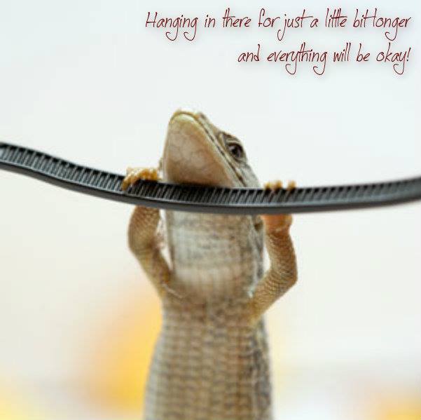 1391711_10201923318740955_921855666_n