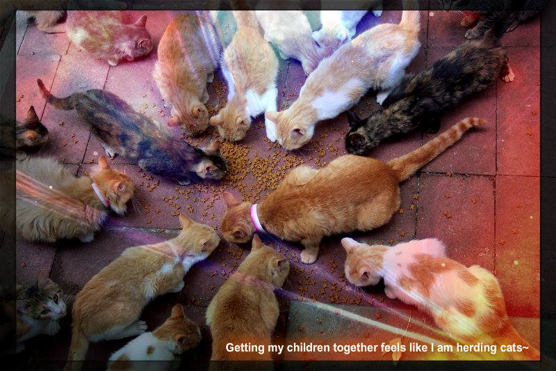 1394425_10201890852129310_590797215_n