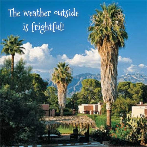 1424278_10202172554531694_1378409971_n