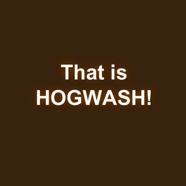 1425580_10201959356041865_504364523_n