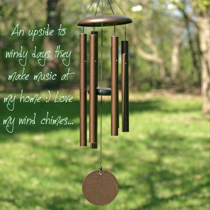 1426197_10202013402592995_331656791_n