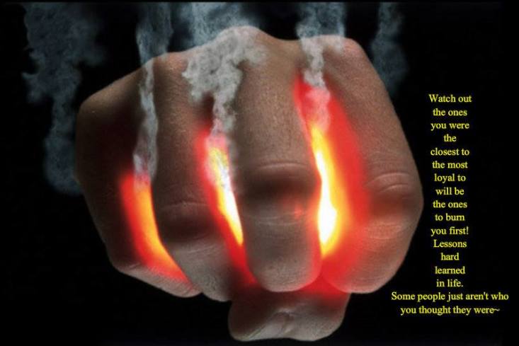 1426264_10201952166302126_1486786_n