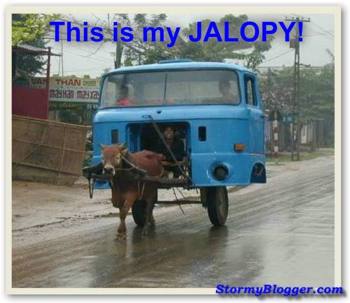 1461730_10202013331511218_1486999629_n