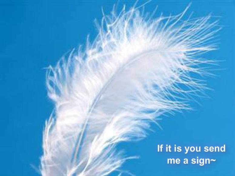 1463396_10201952251744262_497212230_n