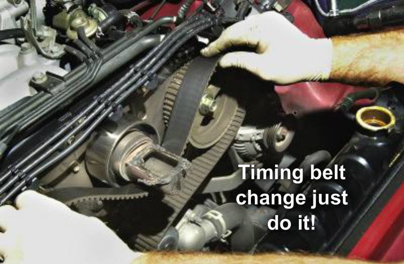 1470379_10202138776767271_453703349_n