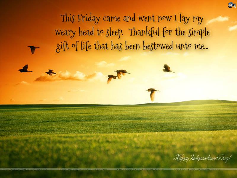 1470418_10202067653349230_629608814_n