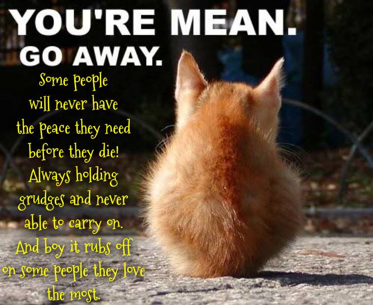 1471125_10202104178222329_349461250_n