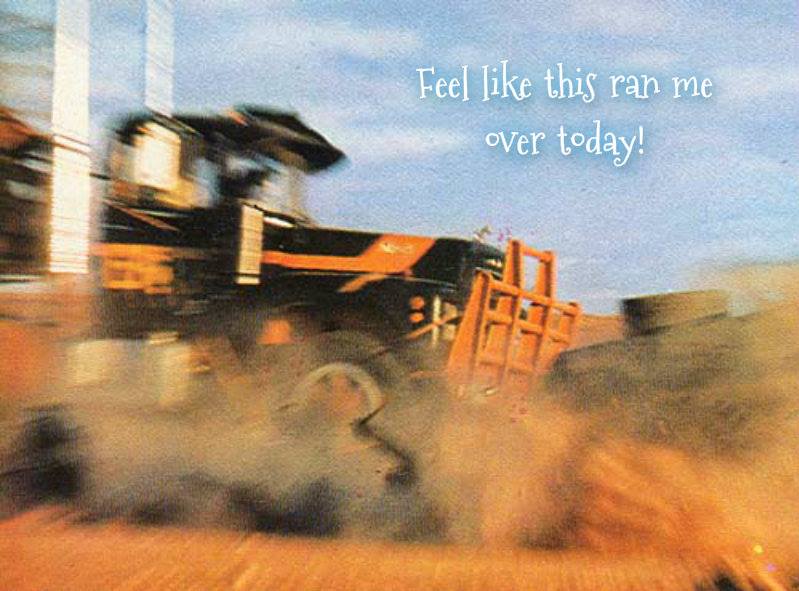 1480638_10202177072604643_978856788_n