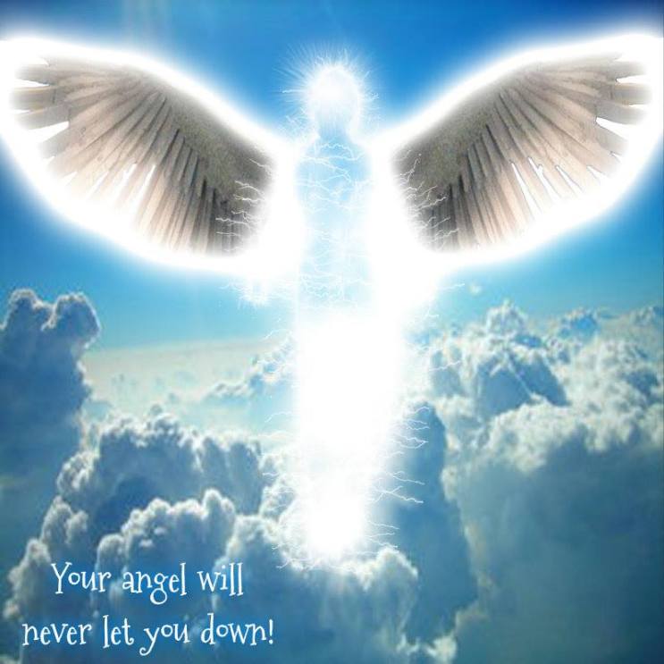 1482812_10202208666314466_1566582925_n