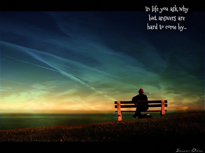 1506447_10202250476279689_1117011513_n