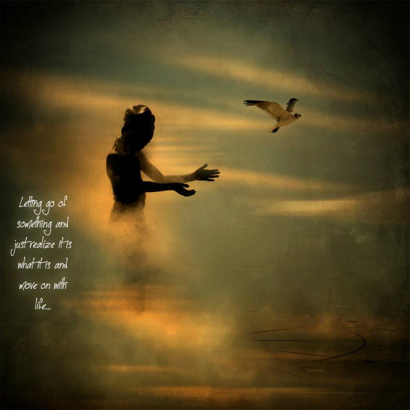 1507812_10202439232958488_2105857257_n