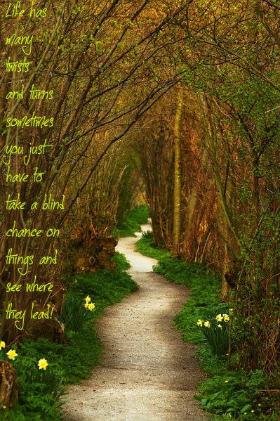 1526782_10202459680589666_115444848_n