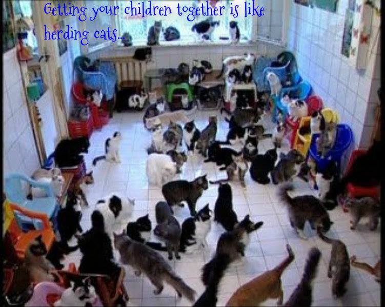 1538810_10202463826733317_79061322_n