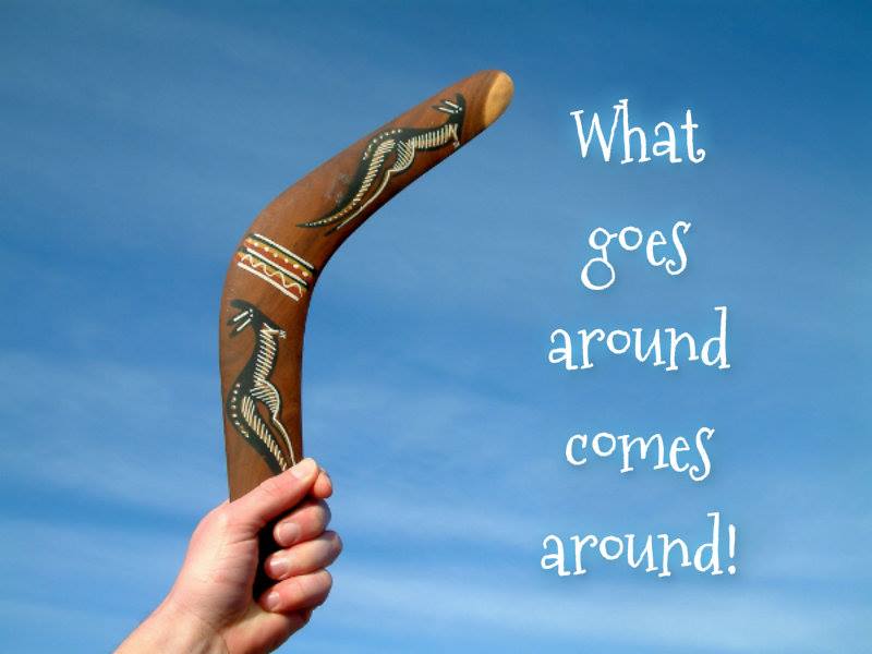 1549524_10202417227928376_415074790_n