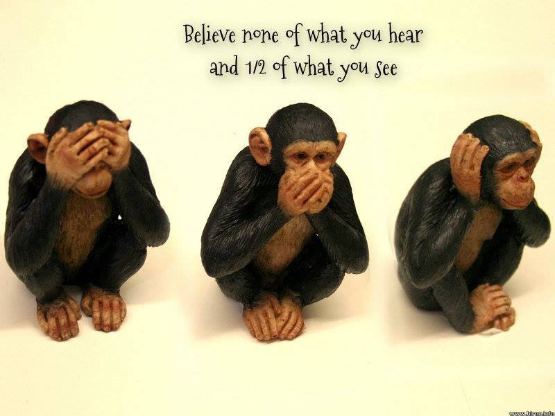 1549536_10202432260544182_23147193_n