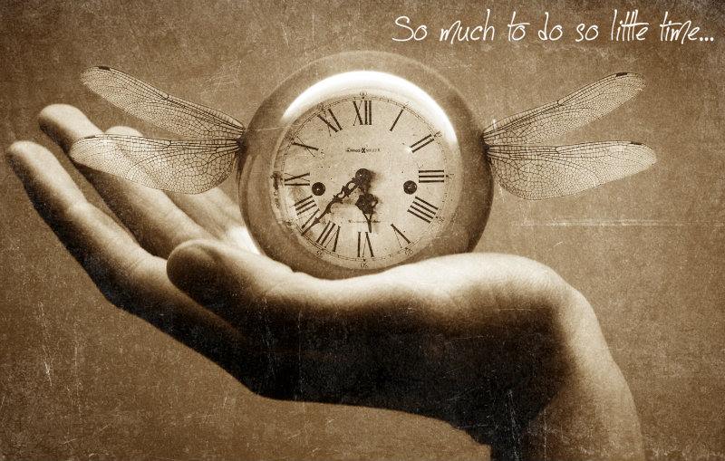 1601473_10202458911130430_1082073953_n