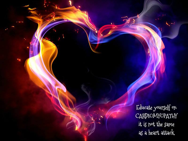 1623671_10202618607322735_2043934145_n