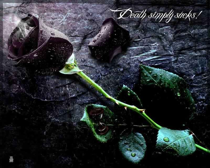 1922458_10202748356526384_148193020_n