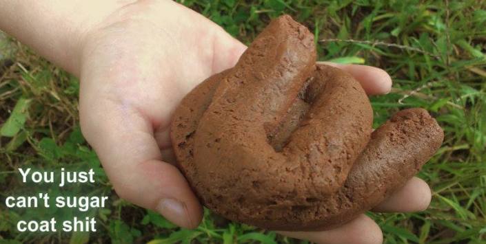 1924355_10203979695789096_2730184331500746090_n