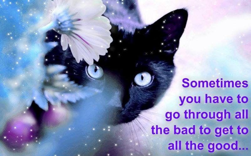 1959354_10202749777041896_1034971075_n