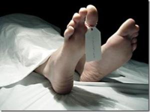 259464080_tvbynumbers_zap2it_com_answer_2_xlarge